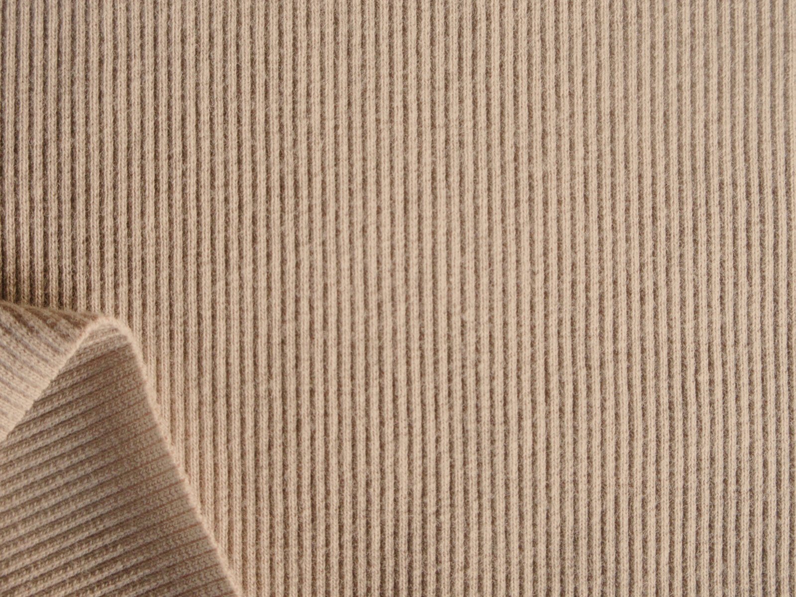 画像1: スパンテレコ